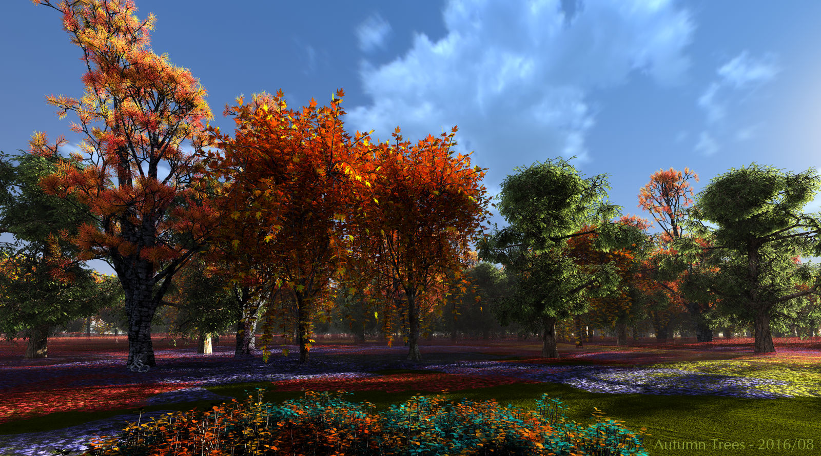 Autumn Trees