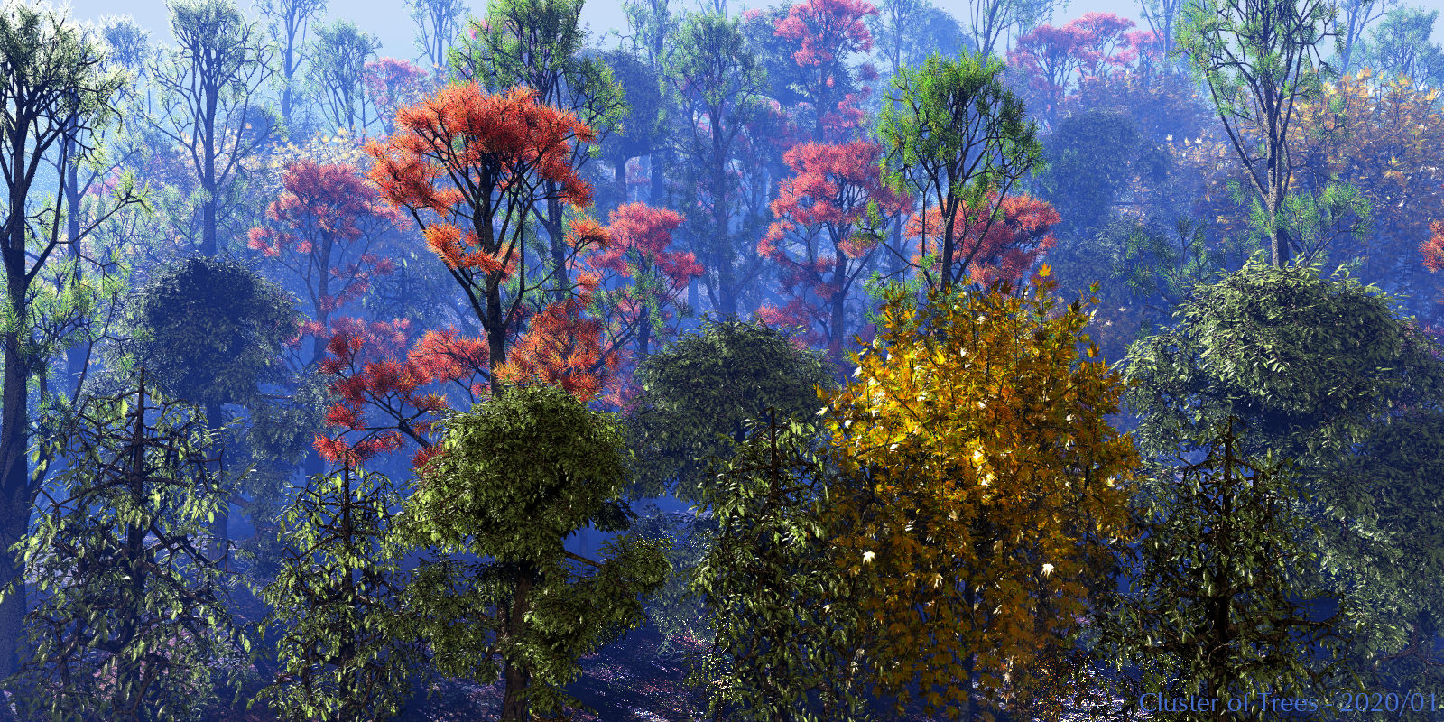 Cluster of Trees