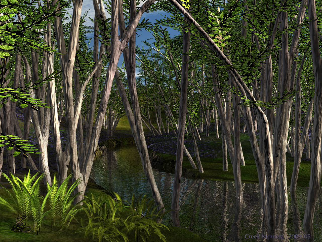 Creek Morning