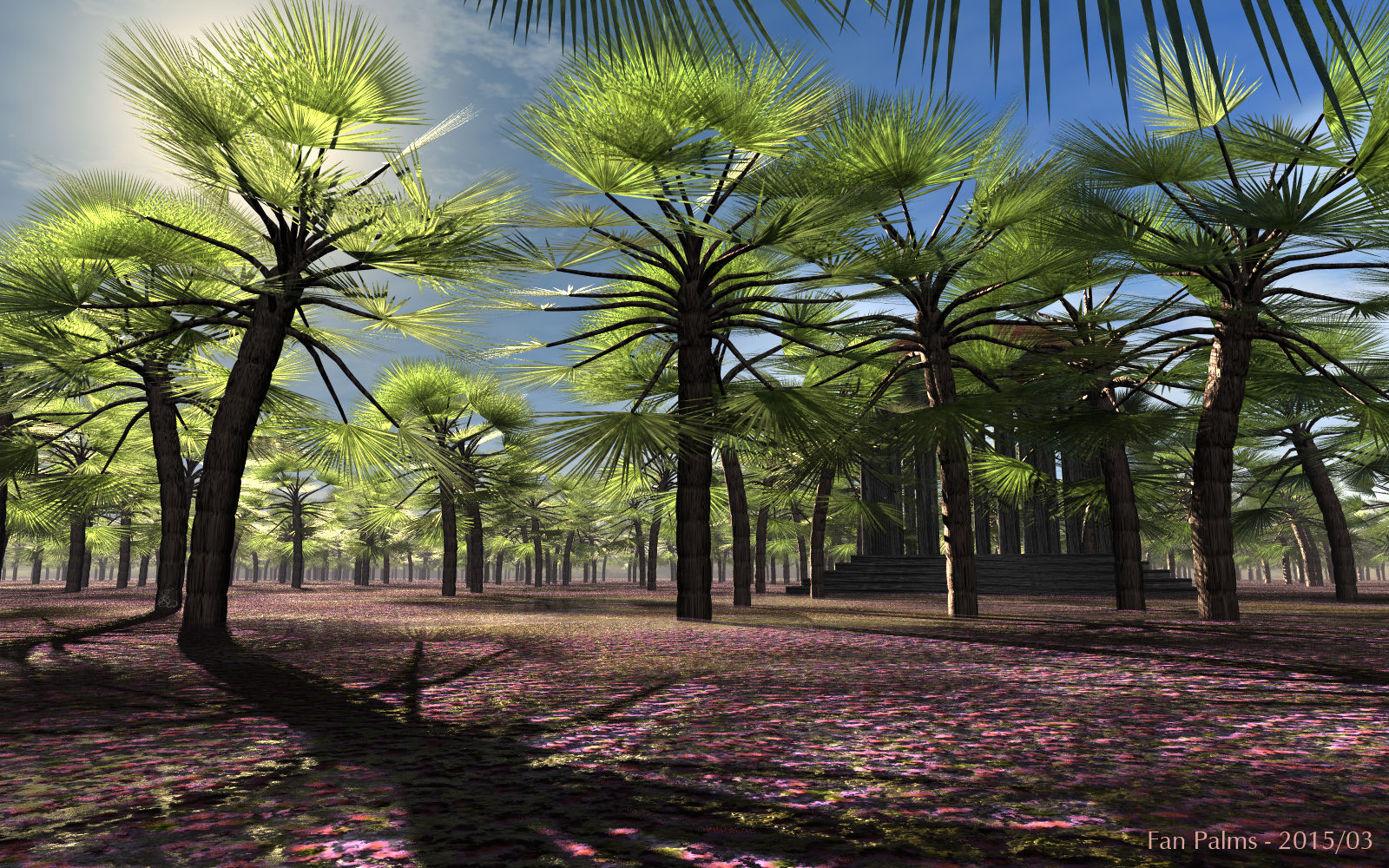 Fan Palms