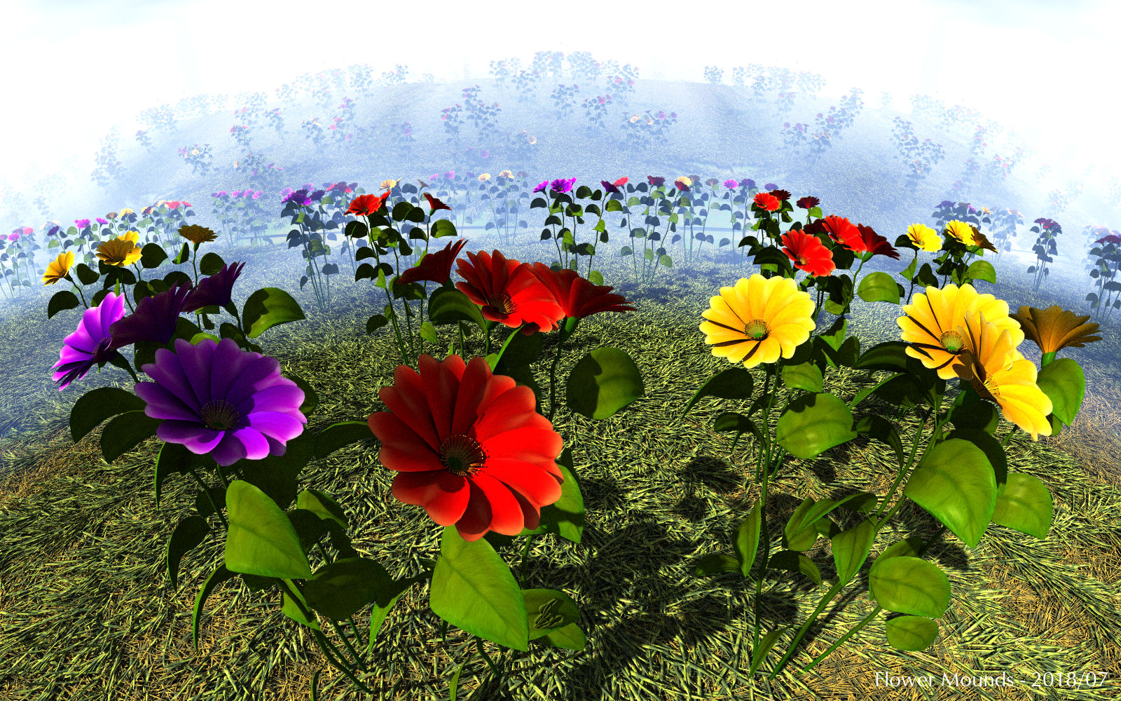 Flower Mounds