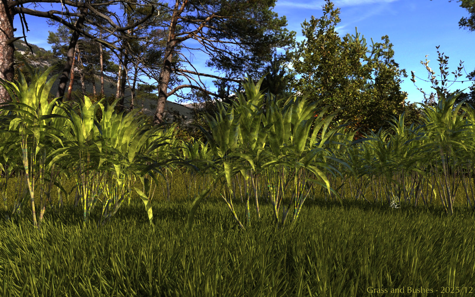 Grass and Bushes