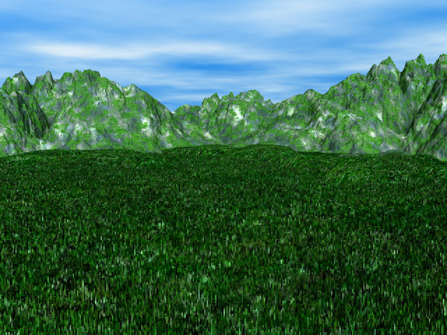 More Grass