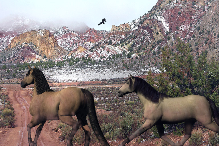 Cockscomb Ridge