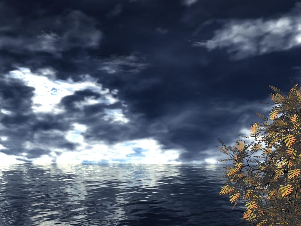 Quiet Shore