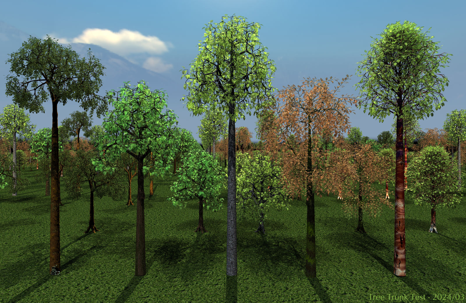 Tree Trunk Test