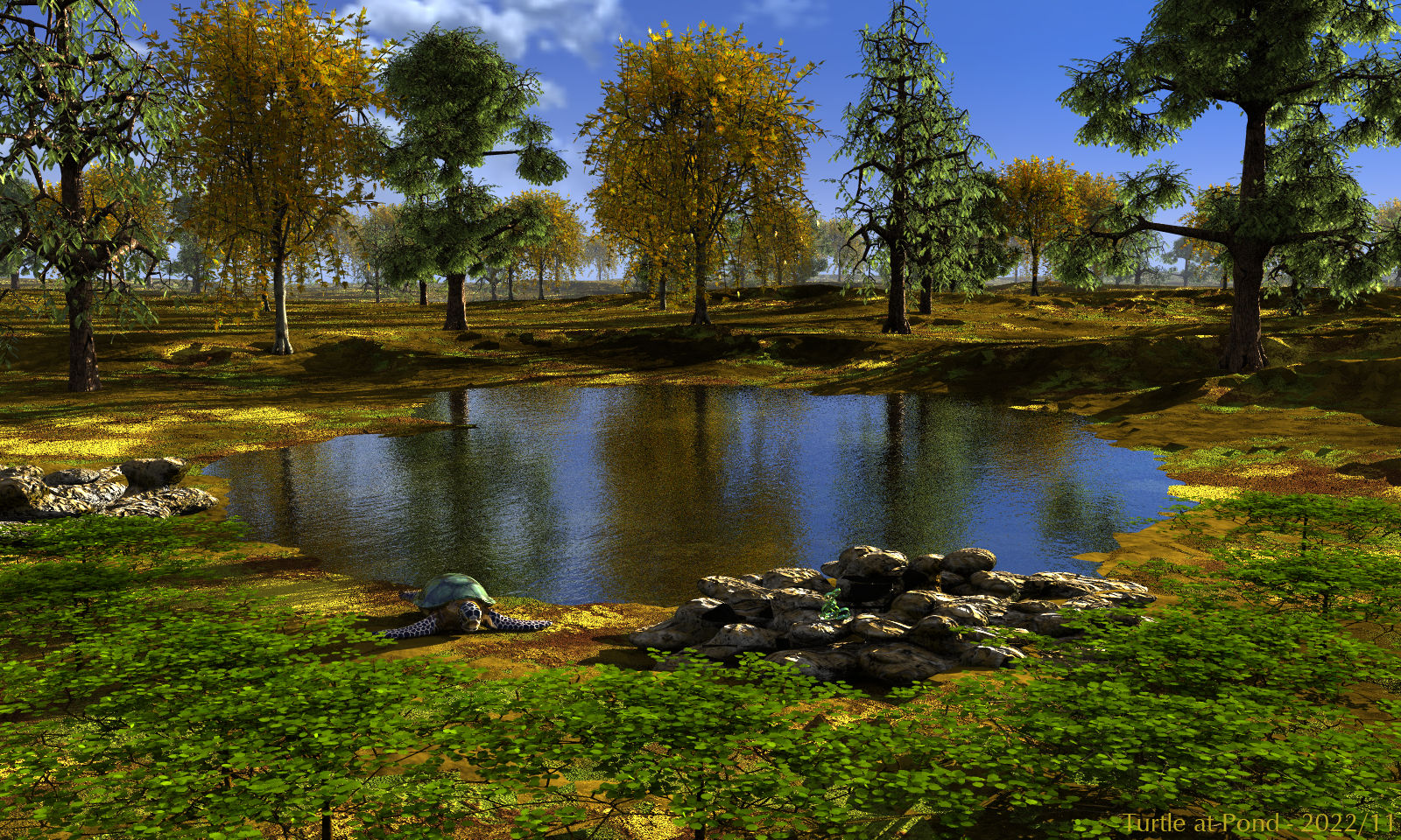 Turtle at Pond