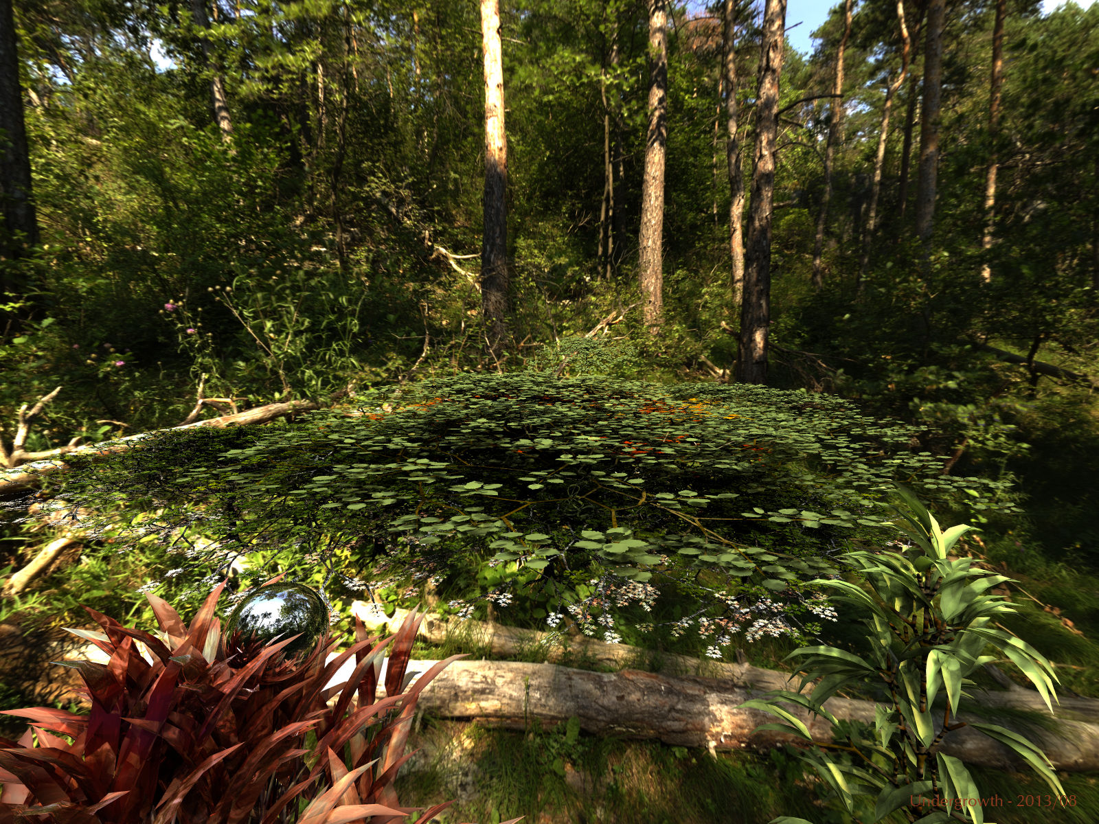Undergrowth