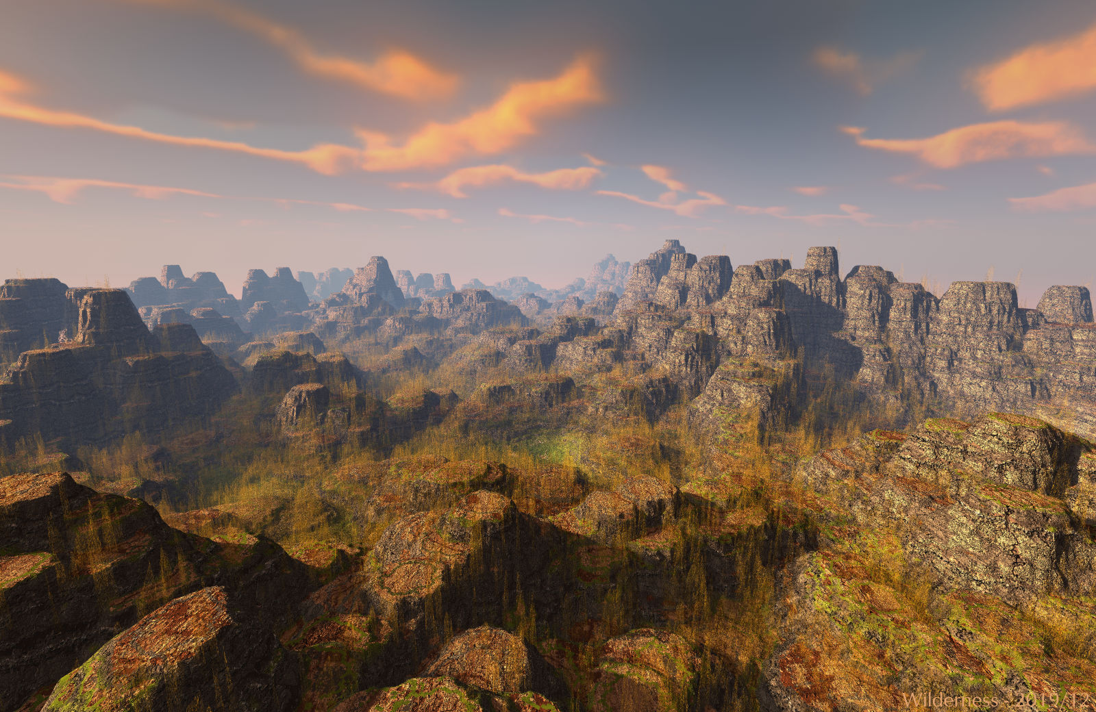 Wilderness