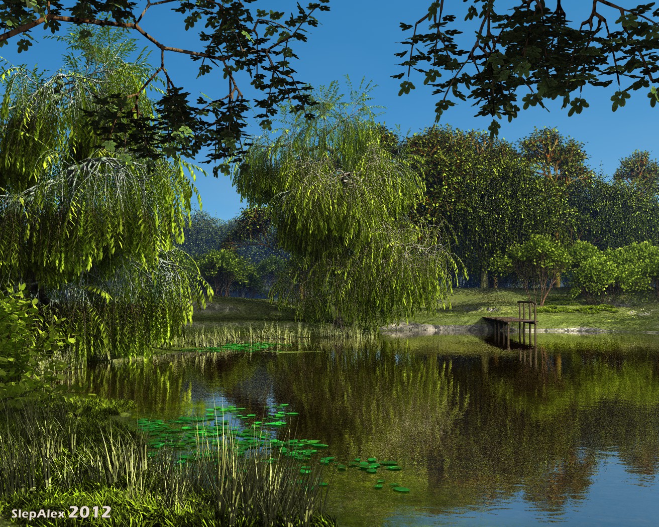 Old pond
