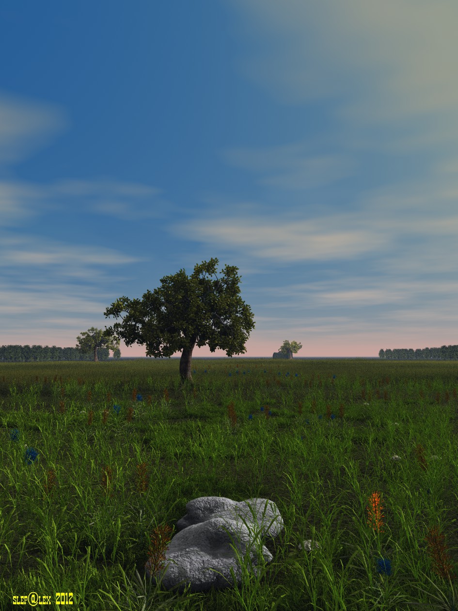 Lonely tree