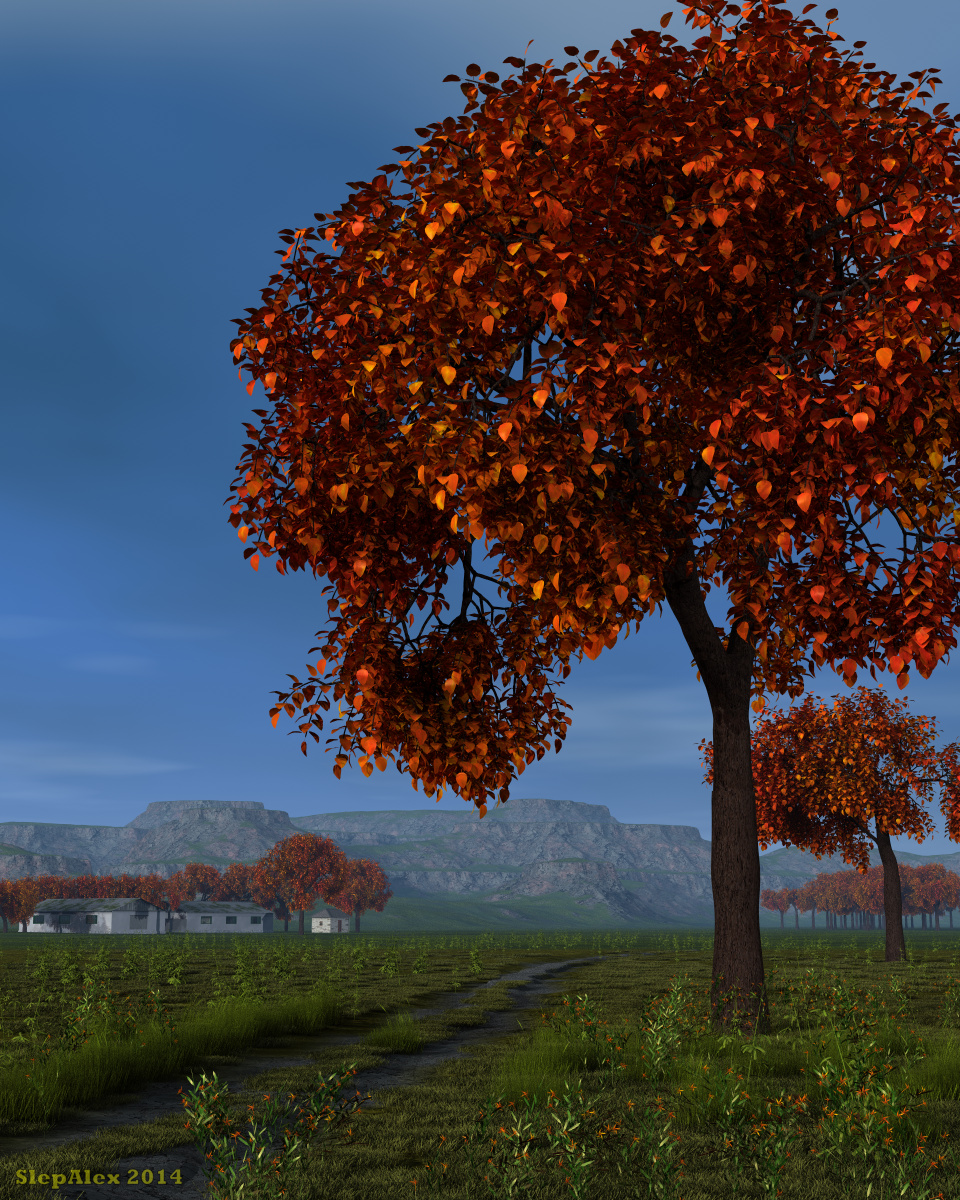 Steppe road