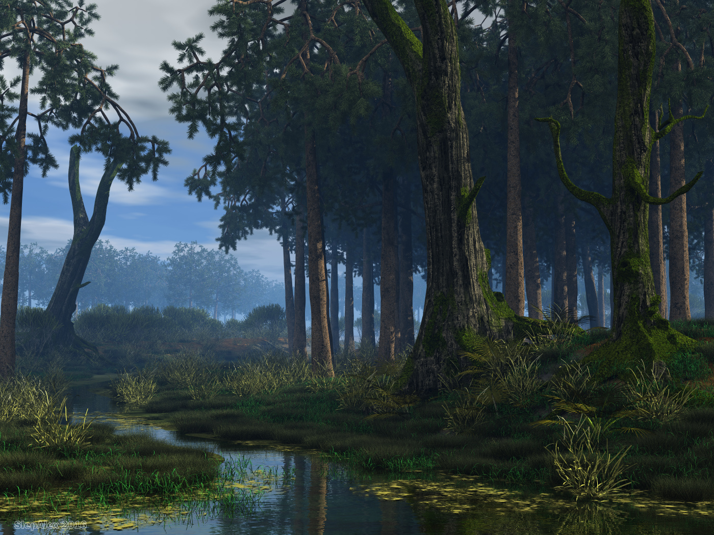 Forest Brook