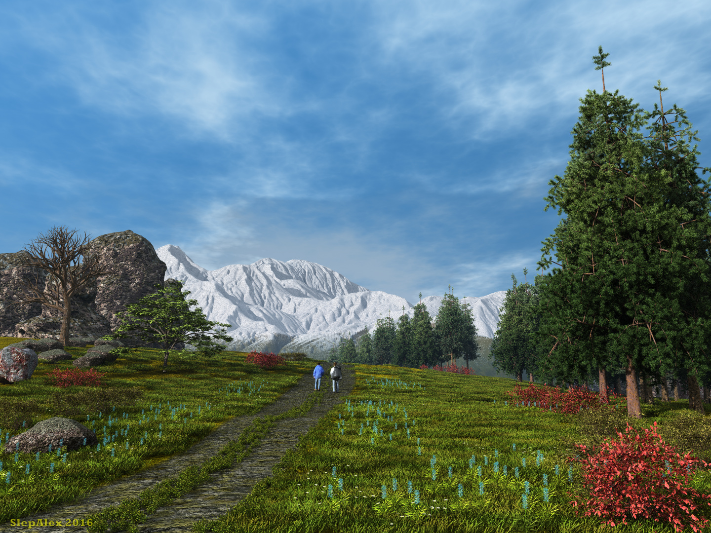 Mountain trail