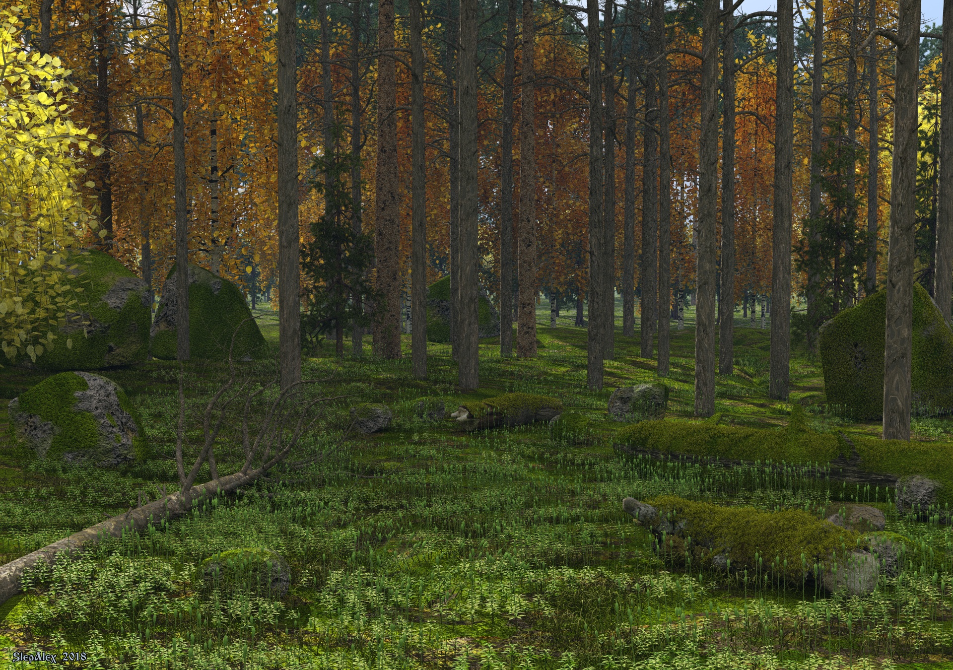 Mossy glade