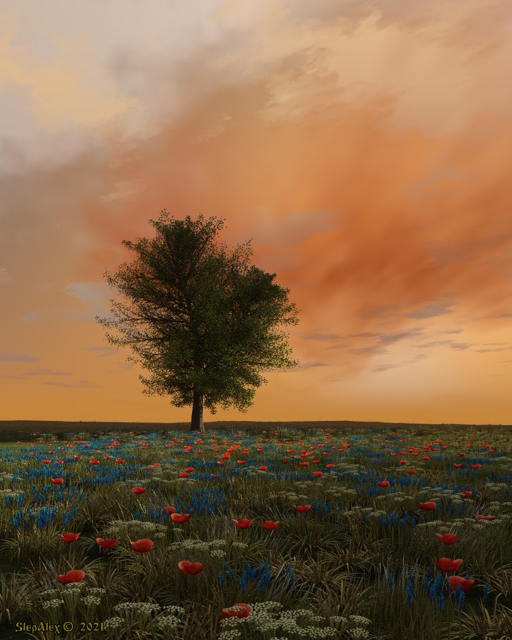 Among the flowers