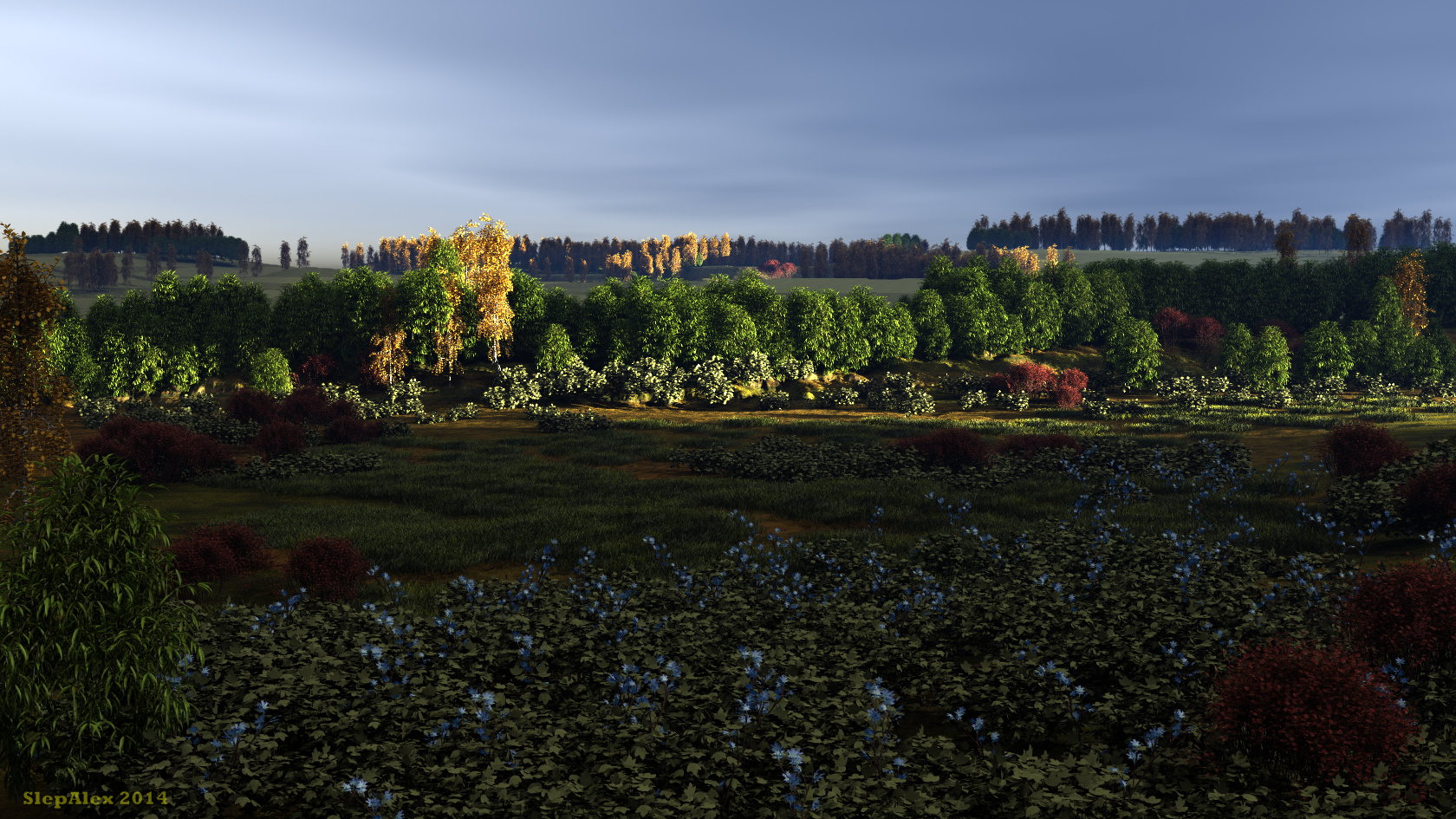 Evening in the lowland