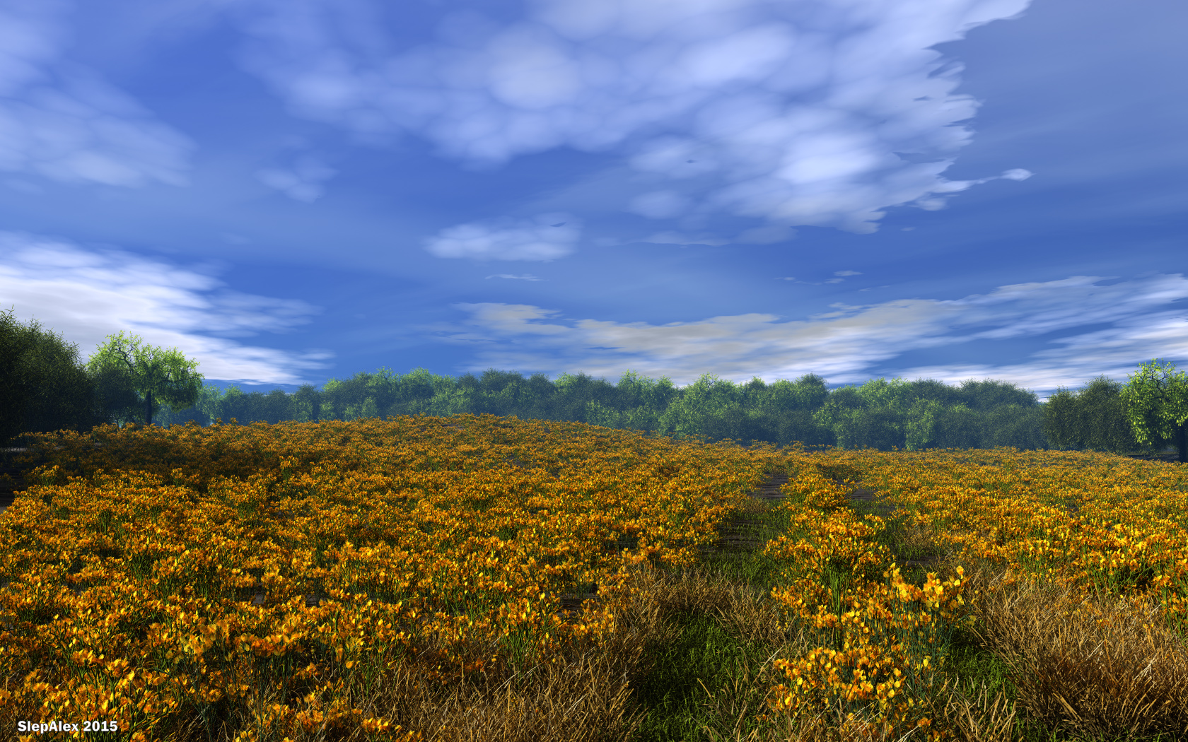 Golden field (v 2)