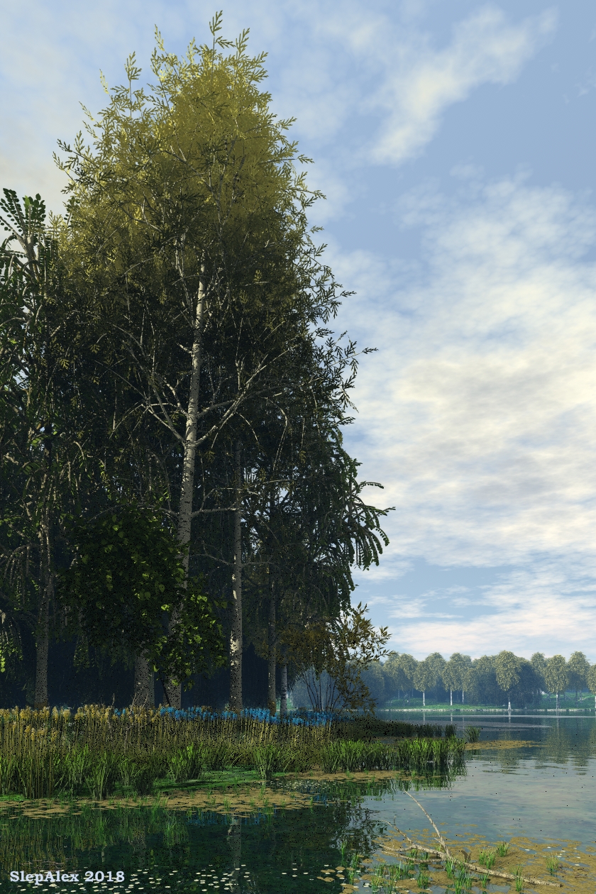 Lake in the park