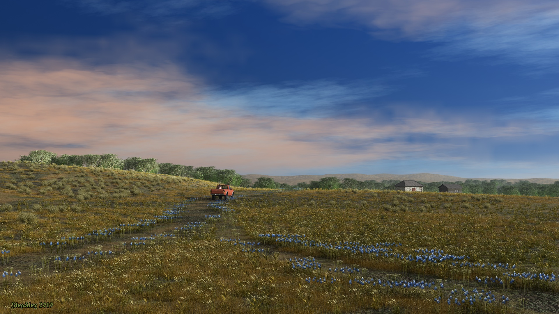 Road in the steppe