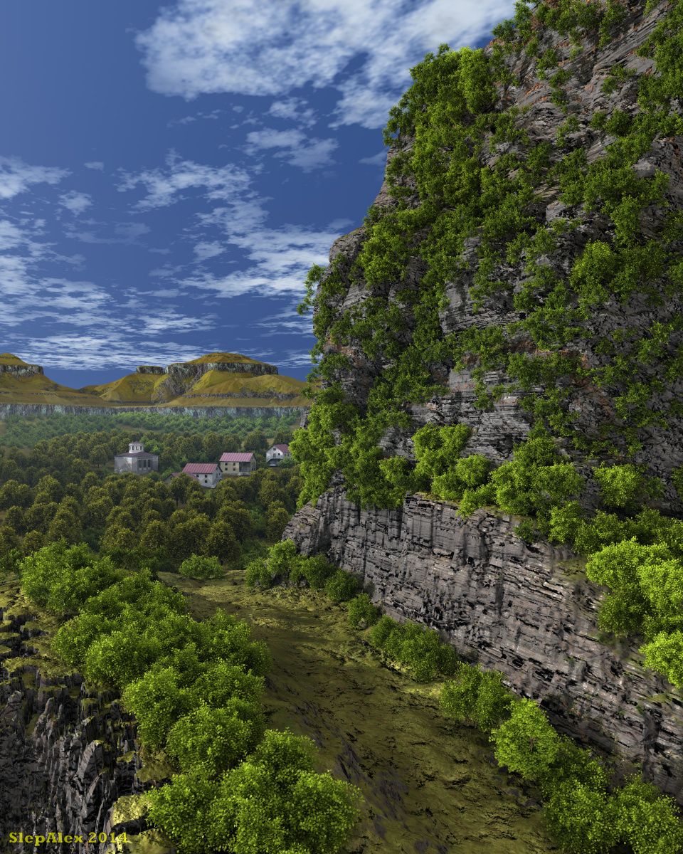 Bird's-eye view