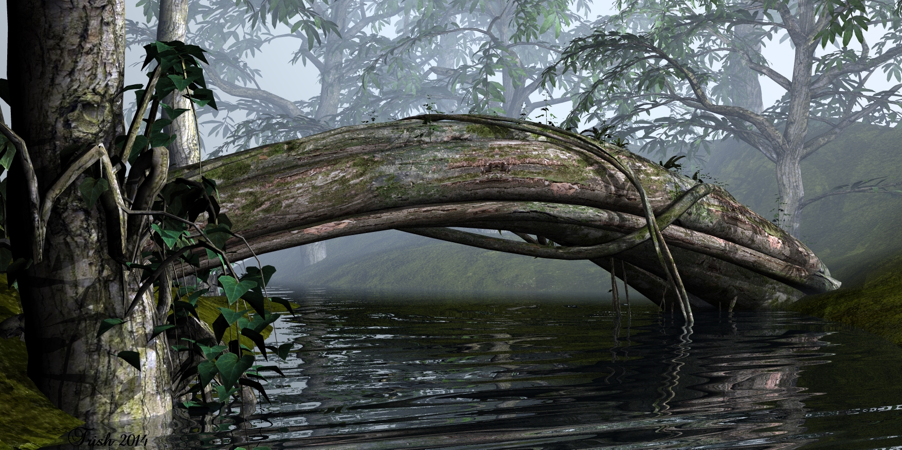 Foggy Creek