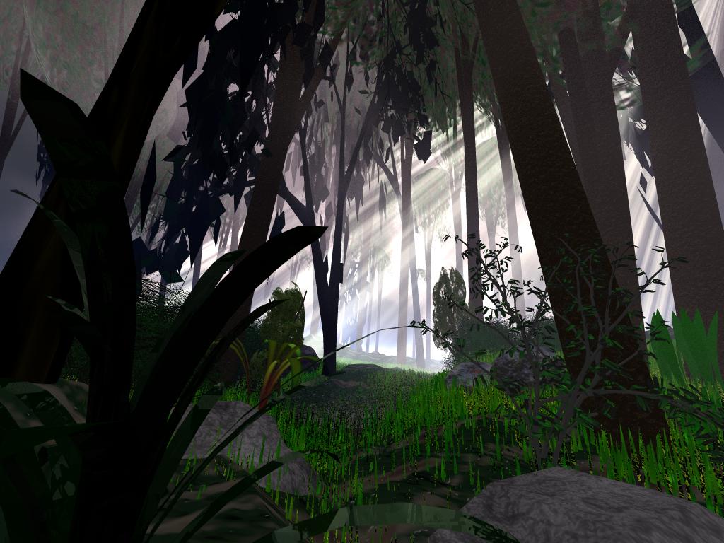 forest