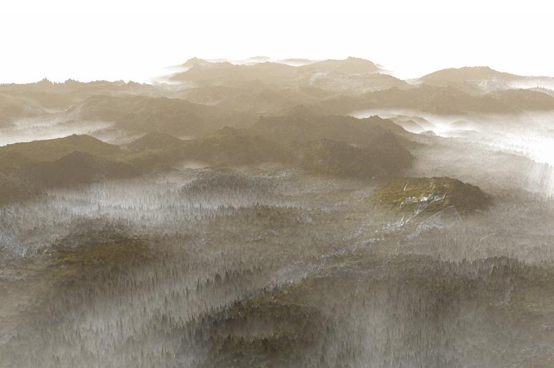 tiled forest