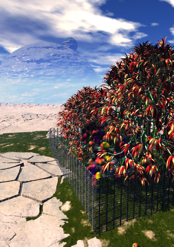 lost paradise