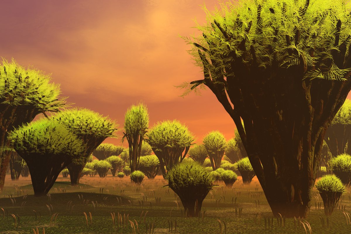 The Bogs On Zhayet Ghul