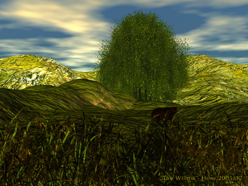 The Willow
