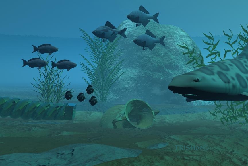 Underwater3