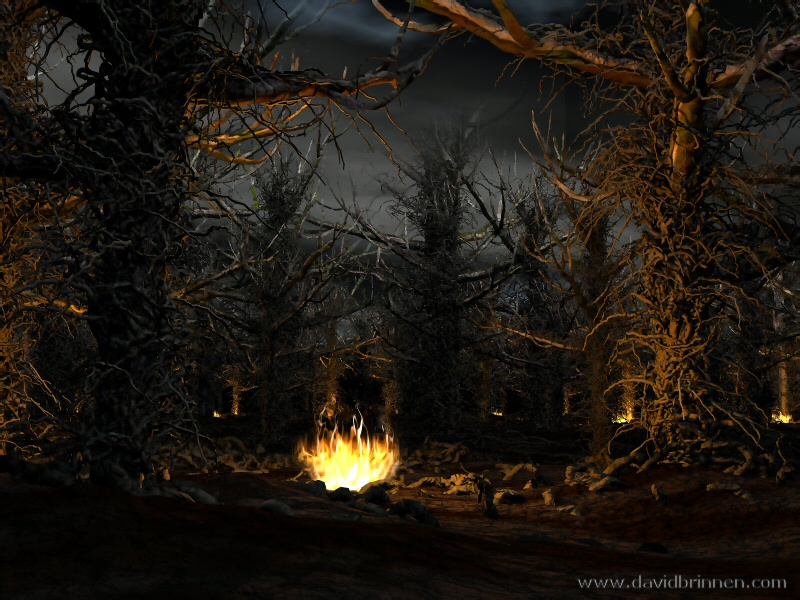Fires in the wood