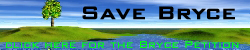 Save Bryce Button 2