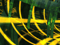 Torus Inside
