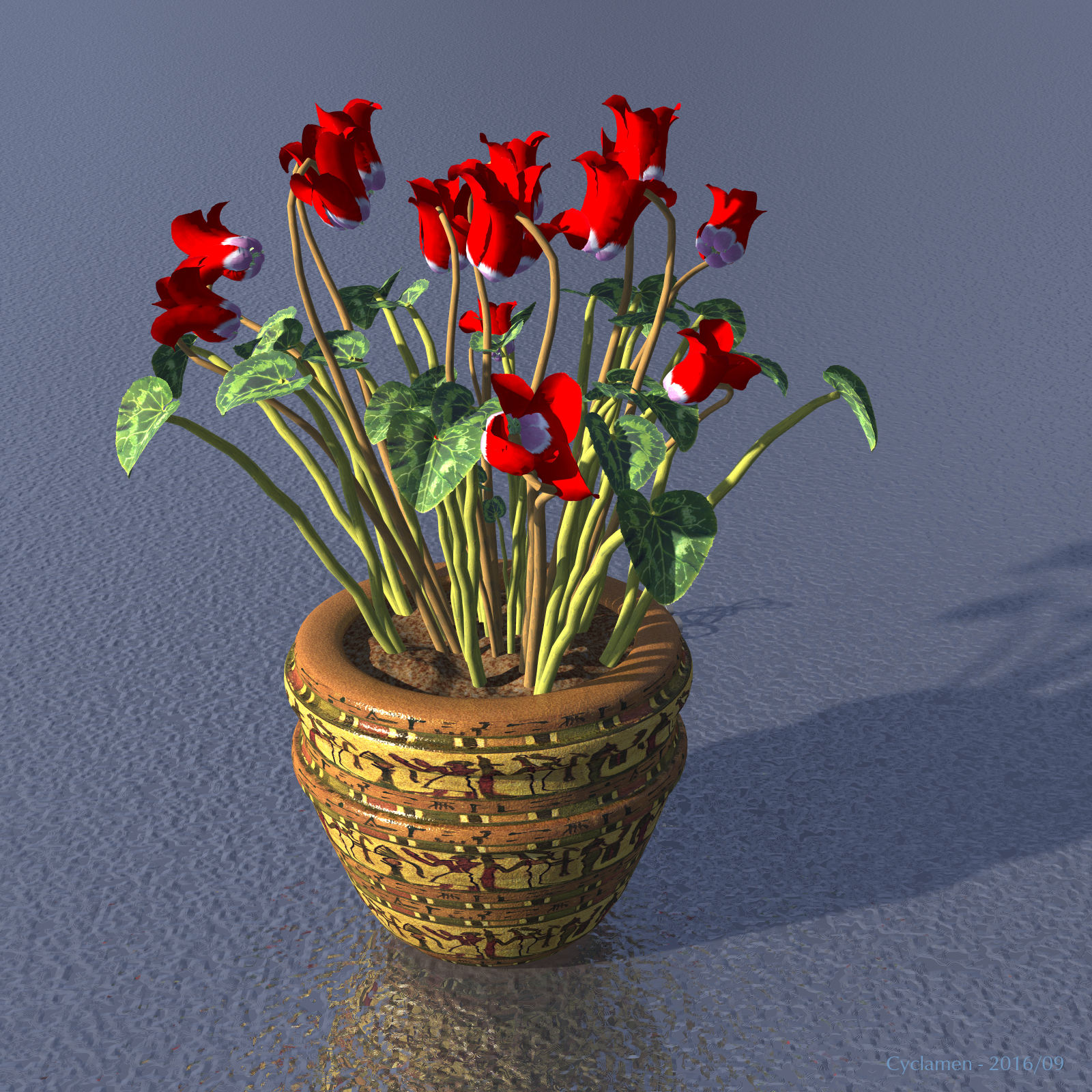 Cyclamen