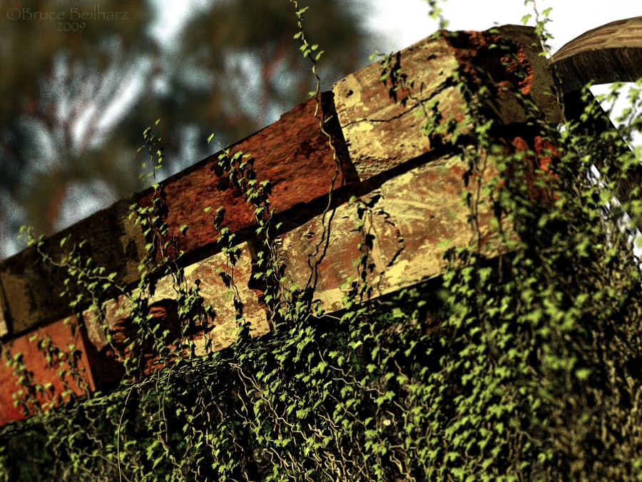 Deanna's Bricks