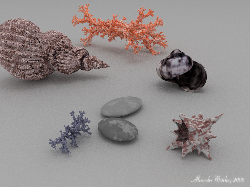 Gifts of Sea