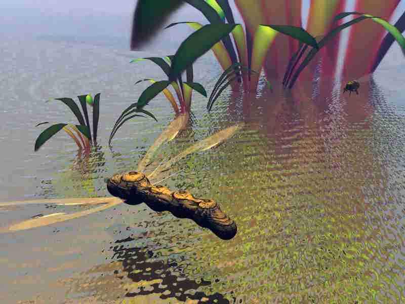 Dragonfly