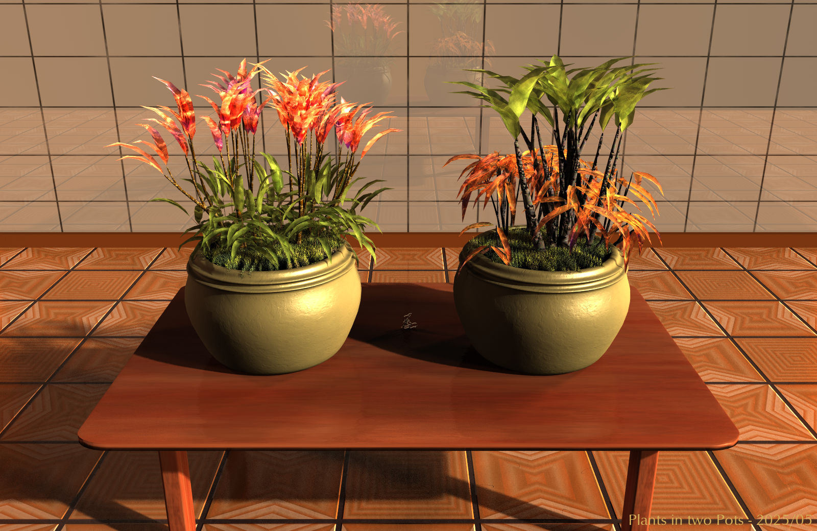 Plants in two Pots