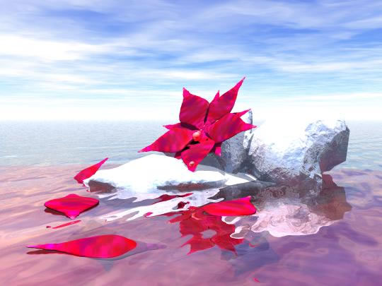 Lost Flower