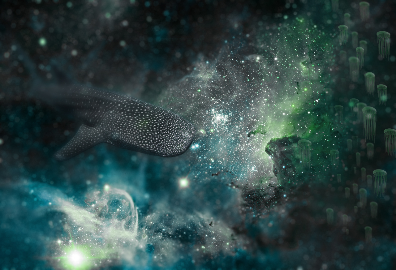 Carina whaleshark nebula