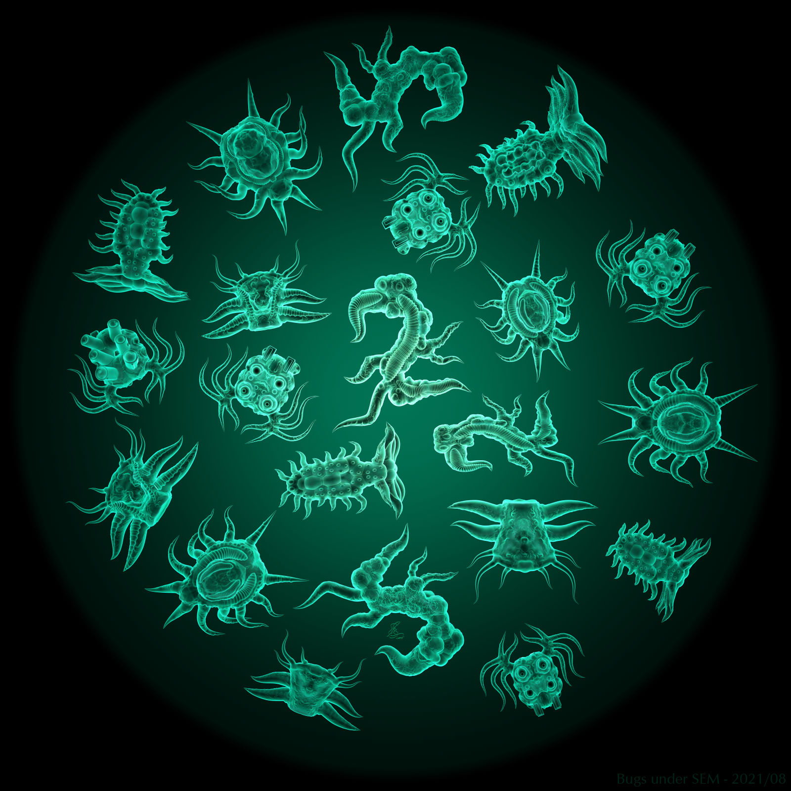 Bugs under SEM