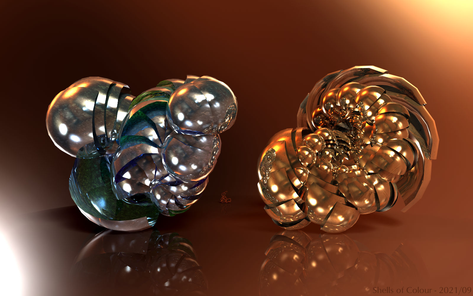 Shells of Colour