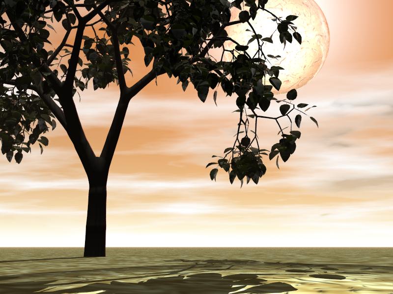 Evening Sun