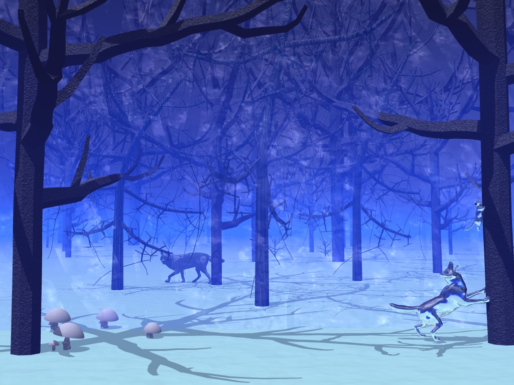 Winter Night