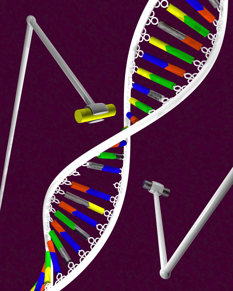 DNA Recombination