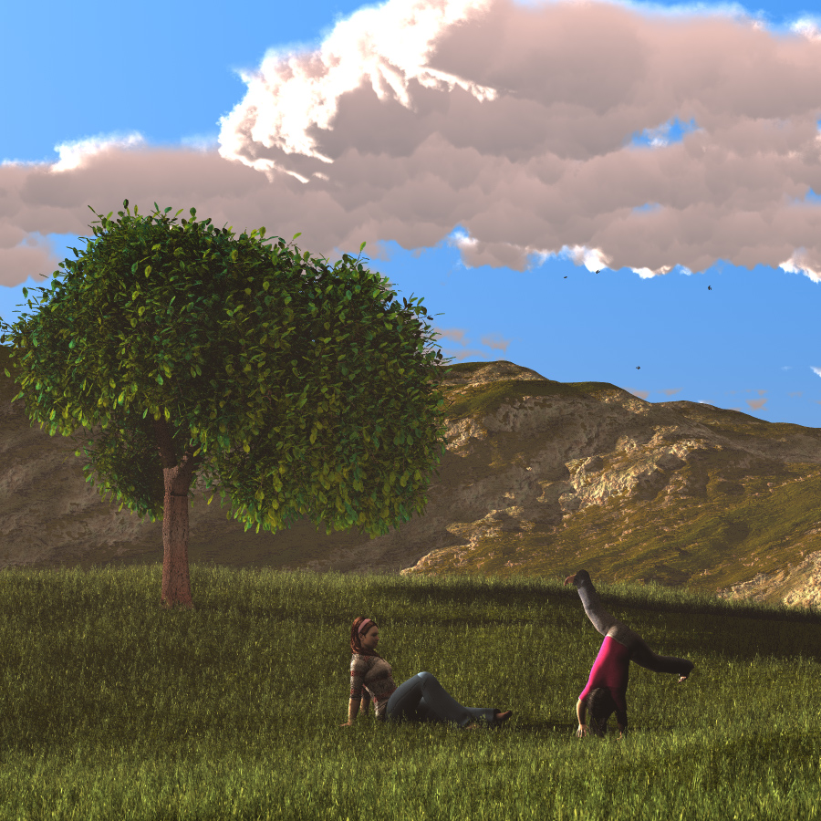 Summer Evening