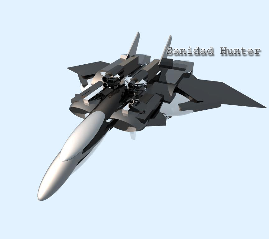 Zen's fighter