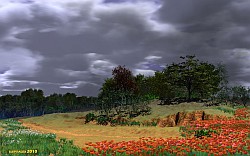 Before a thunder-storm